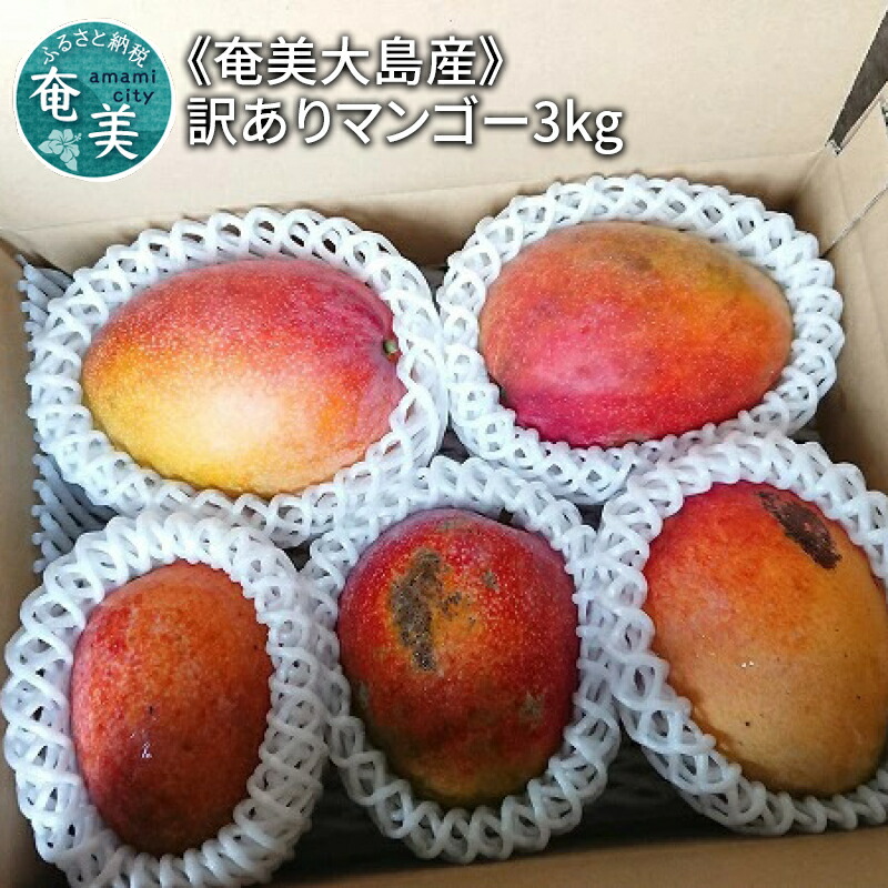 ふるさと納税 奄美大島産 訳ありマンゴー3kg 鹿児島県奄美市 先行予約 送料無料 ワケあり 訳あり 訳アリ わけあり マンゴー 数量限定 21年発送分