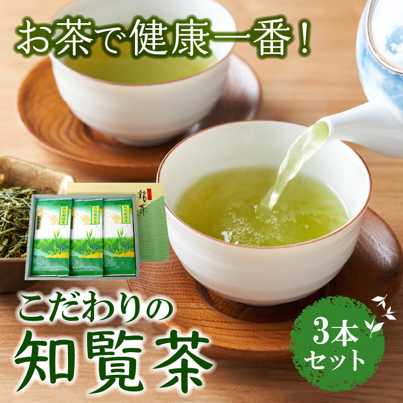 ふるさと納税 お茶を淹れるようにコーヒーを淹れる！【常滑焼】珈琲