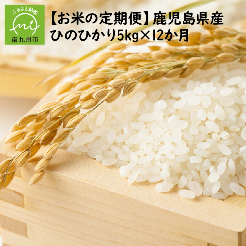 最安 楽天市場 ふるさと納税 全12回 鹿児島県産米ひのひかり5kg定期便 鹿児島県南九州市 売り切れ必至 Blog Personeriacartagena Gov Co