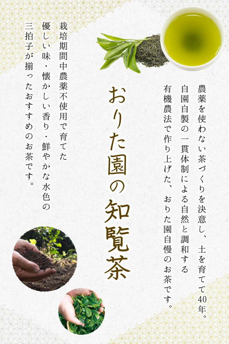 【ふるさと納税】おりたの特別栽培知覧茶5本セット