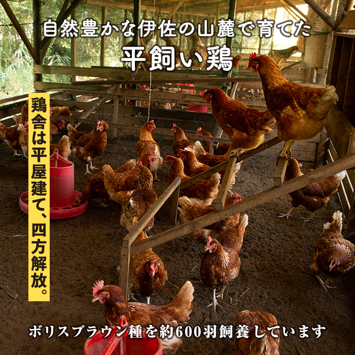 売れ筋新商品 平飼いで育てたボリスブラウンの新鮮な卵 tbg.qa