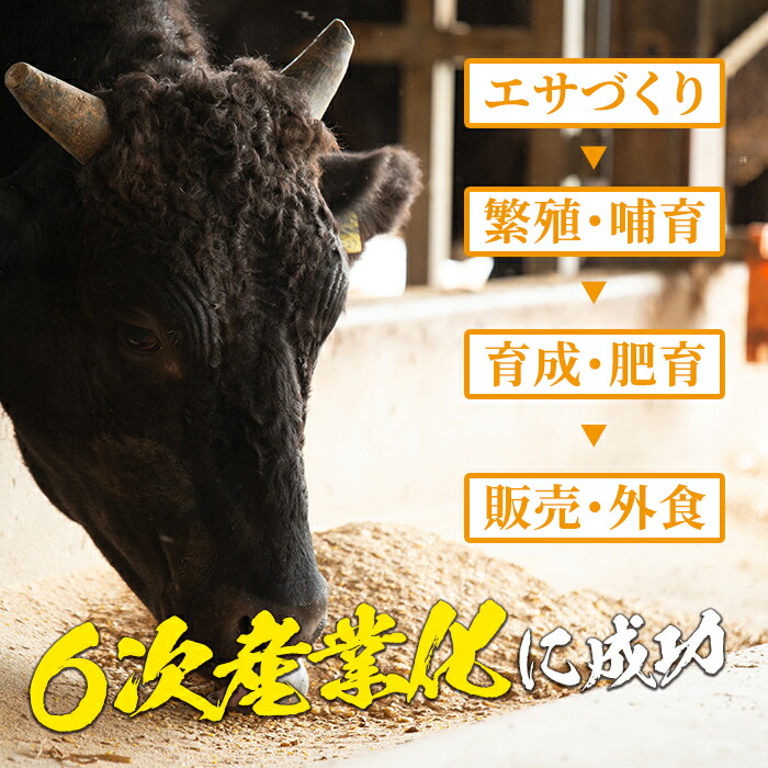 楽天市場 ふるさと納税 さつま福永牛 家族で楽しむ焼肉セット 500g 2パック 1kg 鹿児島県産黒毛和牛で極上焼肉 ギフト 贈答はもちろんご自身の ご褒美にも 福永畜産 鹿児島県さつま町