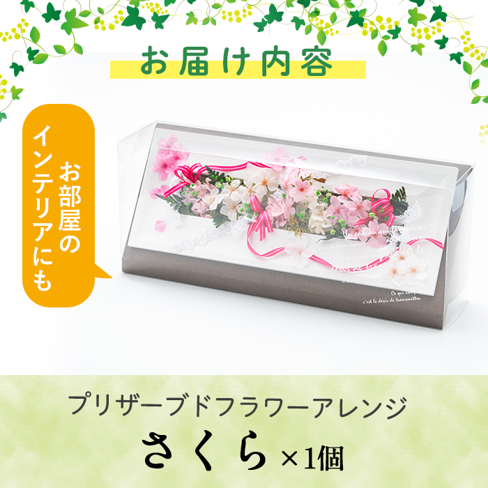 ふるさと納税 毎月数量削る プリザーブドフラワー さくら 鹿児島県さつま村で大詰に育てられた頂点を役する メモリ年月などの引出物室内装飾にも 南原農園 Rosadiy De