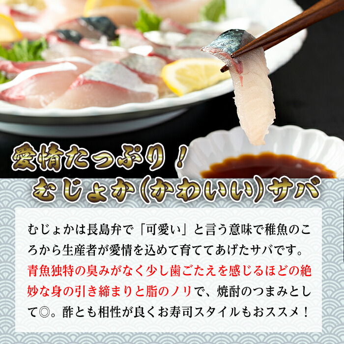 楽天市場 ふるさと納税 むじょかさば 鹿児島県長島町