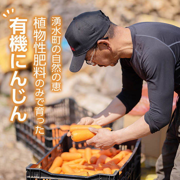 湧水町 特産品 野菜 ふるさと納税 にんじん 産地直送 鹿児島県産にんじんを10kgお届け 野菜 きのこ ふるさと納税 詰め合わせ 上嶋有機自然農園 人参 ニンジン 数量限定 先行予約受付中 21年12月以降順次発送予定 栽培期間中 農薬不使用 化学肥料不使用の