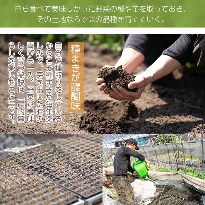 湧水町 特産品 野菜 ふるさと納税 にんじん 産地直送 鹿児島県産にんじんを10kgお届け 野菜 きのこ ふるさと納税 詰め合わせ 上嶋有機自然農園 人参 ニンジン 数量限定 先行予約受付中 21年12月以降順次発送予定 栽培期間中 農薬不使用 化学肥料不使用の 湧水町 特産品 野菜 ふるさと納税 にんじん 産地直送 鹿児島県産にんじんを10kgお届け 野菜 きのこ ふるさと納税 詰め合わせ 上嶋有機自然農園 人参 ニンジン 数量限定 先行予約受付中 21年12月以降順次発送予定 栽培期間中 農薬不使用 化学肥料不使用の