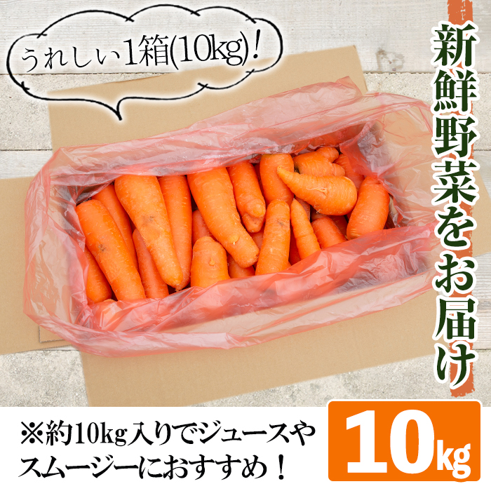 楽天市場 ふるさと納税 訳あり 数量限定 湧水町産有機にんじん 10kg 農園直送の有機栽培国産人参 農薬を使用せず育てました ニンジン ジュースやスムージーにおすすめ そのやま農園 鹿児島県湧水町