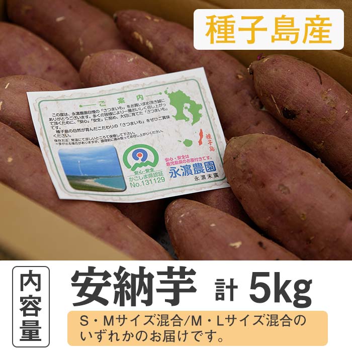 ５５％以上節約 先行予約受付中 2022年10月中旬頃より順次発送予定 種子島産 安納芋 5kg usld.udru.ac.th