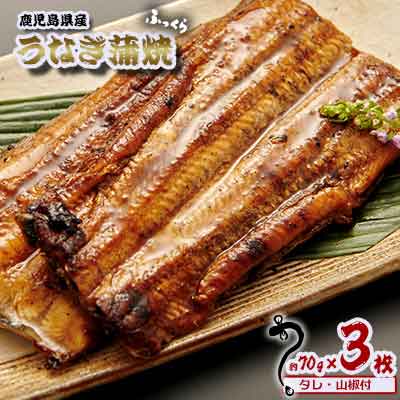 【ふるさと納税】鹿児島県産　うなぎ蒲焼　約70g×3枚【タレ・山椒付】 鹿児島県 奄美群島 奄美大島 龍郷町 国産 うなぎ ウナギ 鰻 かば焼き 蒲焼 うな丼 タレ付 魚介 贅沢 ご褒美 真空パック 小分け お取り寄せ プレゼント ギフト