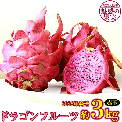 【ふるさと納税】2026年発送【奄美大島産】魅惑の果実・ドラゴンフルーツ(赤玉)約3kg 鹿児島県 奄美群島 奄美大島 龍郷町 国産 奄美産 青果 果実 果物 くだもの フルーツ デザート ピタヤ 火龍果 南国 トロピカル お取り寄せ 先行予約 期間限定 数量限定