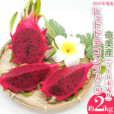 【ふるさと納税】2025年発送【奄美産】レッドドラゴンフルーツ 約2kg（5～8玉入り） 鹿児島県 奄美群島 奄美大島 龍郷町 国産 奄美産 青果 果実 果物 くだもの フルーツ デザート ピタヤ 火龍果 南国 トロピカル お取り寄せ 先行予約 期間限定 数量限定