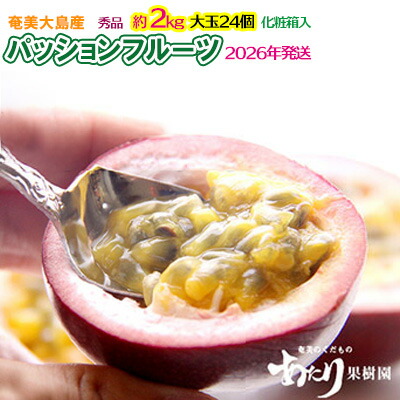 【ふるさと納税】2026年発送【あたり果樹園】奄美パッションフルーツ 秀品 約2kg 鹿児島県 奄美群島 奄美大島 龍郷町 国産 奄美産 果物 青果 くだもの フルーツ 南国 トロピカル 初夏の果実 果物時計草 さわやか 甘酸っぱい 秀品 お取り寄せ 先行予約 数量限定