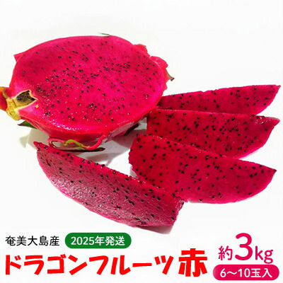 【ふるさと納税】2025年発送【奄美大島産】ドラゴンフルーツ赤 約3kg（6～10玉入） 鹿児島県 奄美群島 奄美大島 龍郷町 国産 奄美産 青果 果実 果物 くだもの フルーツ デザート ピタヤ 火龍果 南国 トロピカル お取り寄せ 先行予約 期間限定 数量限定