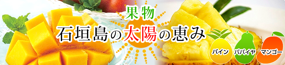 楽天市場】【ふるさと納税】お徳用フローズンカットフルーツ 冷凍マンゴー200g 冷凍パイナップル200g パイン 南国フルーツ 冷凍フルーツ 果物 沖縄県石垣市 送料無料 KP-5 : 沖縄県石垣市 楽天市場】【ふるさと納税】お徳用フローズンカットフルーツ 冷凍マンゴー200g 冷凍パイナップル200g パイン 南国フルーツ 冷凍フルーツ 果物 沖縄県石垣市 送料無料 KP-5 : 沖縄県石垣市