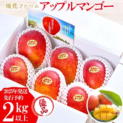 【ふるさと納税】【2025年発送先行予約】アップルマンゴー優品2kg以上 沖縄 おきなわ まんごー 優品 家庭用 先行予約 ふるさと納税 送料無料 甘味 糖度 おいしい お土産 アーウィン 果物 くだもの 果実 2キロ 箱入り 食べ物 フルーツ