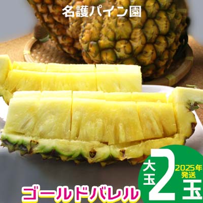 【ふるさと納税】2025年発送【名護パイン園】　ゴールドバレル（大玉2玉） 先行予約　 パインアップル パイナップル 期間限定 数量限定 フルーツ くだもの 果物 贈答 贈り物 プレゼント 人気 おすすめ 南国 お土産 ギフト デザート 青果 沖縄 おきなわ 年末