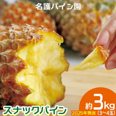 【ふるさと納税】2025年発送【名護パイン園】　スナックパイン約3kg（3～4玉） 先行予約 パイナップル 甘い ジューシー デザート 取り寄せ 高級フルーツ 家族 子供 果物 旬 おすすめ ギフト 人気 家庭用 贈答用 母の日 ゴールドバレル 期間限定 年末 沖縄