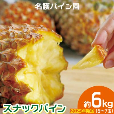 【ふるさと納税】2025年発送【名護パイン園】　スナックパイン約6kg（6～7玉） 先行予約 パイナップル 甘い ジューシー デザート 取り寄せ 高級フルーツ 家族 子供 果物 旬 おすすめ ギフト 人気 家庭用 贈答用 母の日 ゴールドバレル 期間限定 年末 沖縄