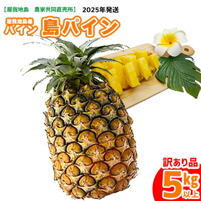 【ふるさと納税】《訳あり品》2025年【屋我地島　農家共同直売所】屋我地島産パイン5kg以上 島パイン 先行予約 沖縄 国産 パインアップル Nパイン ハワイ種 ぱいん 生産者応援 ご当地 お取り寄せ 果物 くだもの 果実 ふるさと納税 名護 デザート フルーツ トロピカル