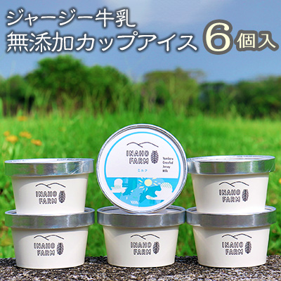 【ふるさと納税】ジャージー牛乳 無添加カップアイス6個入 11,520円