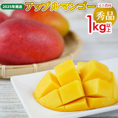 【ふるさと納税】【2025年発送先行予約】沖縄県【又吉農園】　秀品アップルマンゴー　1kg以上 完熟 マンゴー アップル 南国 沖縄 国産 フルーツ くだもの 果物 果実 産地直送 贅沢 濃厚 スイーツ デザート 旬の果物 贈答用 ギフト 贈り物 プレゼント