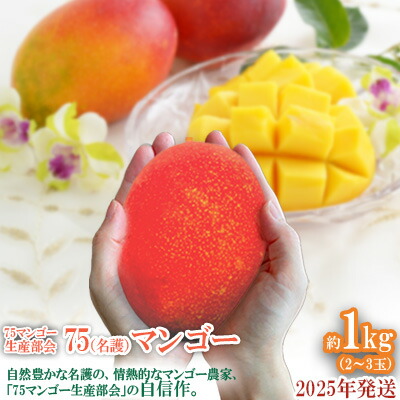 【ふるさと納税】2025年発送【75マンゴー生産部会】 75（名護）マンゴー　約1kg 期間限定 数量限定 先行予約 フルーツ 果物 南国 プレゼント お土産 おみやげ ギフト スイーツ 贈答 冷蔵 人気 おすすめ デザート 青果 おきなわ 季節 くだもの