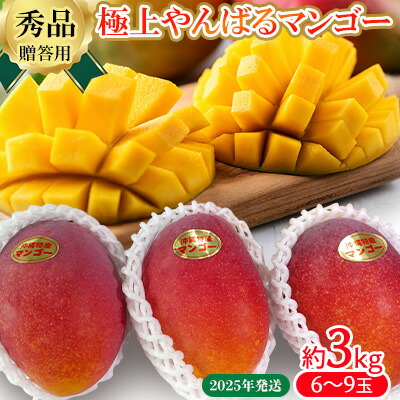 【ふるさと納税】2025年発送【贈答用】極上やんばるマンゴー約3kg【秀品】 完熟 マンゴー 先行予約 冷蔵 大玉 家庭 贈答用 スイーツ スムージー プリン フルーツジュース 国産 フルーツ 果物 果実 南国 沖縄 ギフト 贈り物 プレゼント