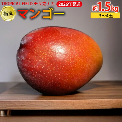 【ふるさと納税】2026年発送【TROPICAL FIELD モリ之ナカ】極撰マンゴー　約1.5kg（3～4玉） フルーツ 果物 期間限定 数量限定 先行予約 南国 プレゼント お土産 おみやげ ギフト くだもの 沖縄 おきなわ 青果 デザート おすすめ 人気 冷蔵 夏 スイーツ
