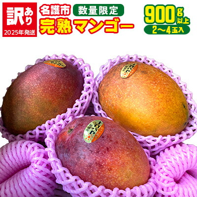 【ふるさと納税】【2025年発送】数量限定【訳あり品】名護市完熟マンゴー900g以上（2～4玉） 訳アリ マンゴー まんごー 果物 くだもの 果実 お取り寄せ １万円 送料無料 沖縄県産 産地直送 アーウィン 人気 自分用 2025年 甘味 県産 ご当地 やんばる ふるさと納税