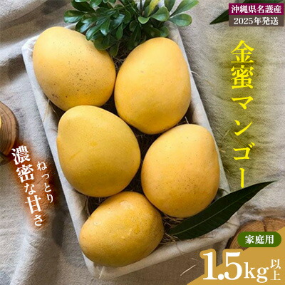 【ふるさと納税】【2025年 先行予約 数量限定】金蜜マンゴー 家庭用 1.5kg以上 家庭用 先行予約 沖縄 甘味 糖度 濃厚 おいしい お土産 まんごー きんみつ ギフト プレゼント 果実 くだもの 果物 ふるさと納税 送料無料 トロピカル 名護市 フルーツ