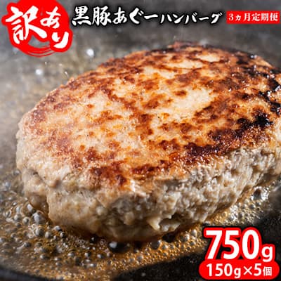 【ふるさと納税】【3ヵ月定期便】【訳あり】あぐー豚肉ハンバーグ　750g（150g×5個） 簡易包装シリーズ【黒豚あぐー】 訳アリ 豚 簡易包装 SDGS ハンバーグ あぐー 名護市 銘柄豚肉 簡単調理 簡単料理 おかず 食品 国産 県産 真空パック 沖縄 おきなわ 送料無料 やんばる