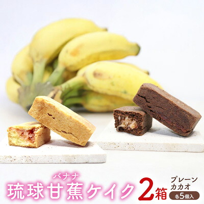 【ふるさと納税】琉球甘蕉ケイク2箱（プレーン・カカオ）各5個入 沖縄 おきなわ おかし お菓子 バナナ アップルバナナ ばなな 伝統 特産品 ふるさと納税 送料無料 名護市 なご スイーツ お土産 お取り寄せ 人気 カカオ かかお