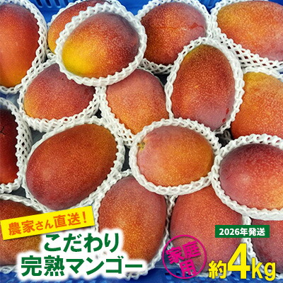 【ふるさと納税】【2026年発送先行予約】こだわりのアップルマンゴー　家庭用4kg　ふるいっと 数量限定 名護市 沖縄 フルーツ くだもの 果物 南国 スイーツ デザート 人気 おすすめ ギフト プレゼント 期間限定 おきなわ アップルマンゴー 家庭用 贈り物 大自然 お取り寄せ