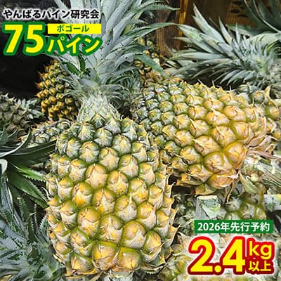 【ふるさと納税】【2026年先行予約】７５パイン（ボゴール）2.4kg以上 パイン パイナップル パインアップル 沖縄県産パイン フルーツ 南国フルーツ トロピカルフルーツ 沖縄フルーツ 果物 くだもの 果実 デザート 甘い 人気 おすすめ プチギフト 産地直送 国産 沖縄 名護市