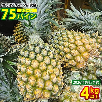 【ふるさと納税】【2026年先行予約】７５パイン（ボゴール）4kg以上 パイン パイナップル パインアップル 沖縄県産パイン フルーツ 南国フルーツ トロピカルフルーツ 沖縄フルーツ 果物 くだもの 果実 デザート 甘い 人気 おすすめ プチギフト 産地直送 国産 沖縄 名護市
