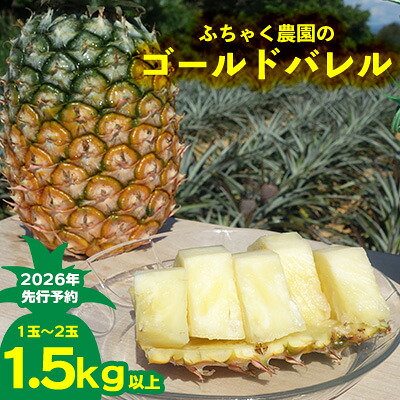【ふるさと納税】【2026年先行予約】ふちゃく農園のゴールドバレル1.5kg以上 パイン パイナップル パインアップル 高級パイン 沖縄県産パイン フルーツ 南国フルーツ トロピカルフルーツ 高級フルーツ 果物 くだもの 果実 デザート 甘い 人気 プチギフト 産地直送