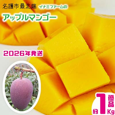 【ふるさと納税】【2026年発送】名護市最北端イナミファームの　優品　アップルマンゴー 約1kg フルーツ 果物 期間限定 数量限定 マンゴー 南国 プレゼント お土産 おみやげ ギフト くだもの 沖縄 おきなわ 青果 デザート 冷蔵 おすすめ 人気 夏 スイーツ