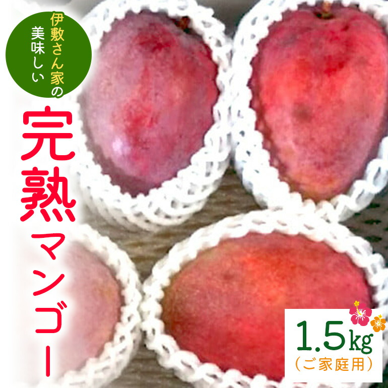 【ふるさと納税】【 先行予約 2025年 発送 】 伊敷さん家の美味しい 完熟マンゴー 1.5kg ( ご家庭用 ) マンゴー 沖縄県産 マンゴー アップルマンゴー アーウィンマンゴー 果物 南国 くだもの フルーツ 完熟 夏 旬 沖縄 産地直送 農家直送 家庭用 糸満市 送料無料