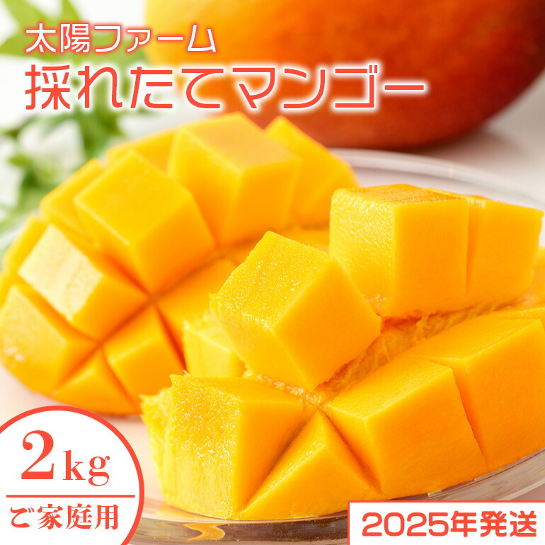 【ふるさと納税】【 先行予約 2025年 発送 】 農家直送 ! 太陽ファームのマンゴー 2kg ( ご家庭用 ) マンゴー 沖縄県産 マンゴー アップルマンゴー アーウィンマンゴー 完熟マンゴー 果物 南国 くだもの フルーツ 完熟 夏 旬 沖縄 お取り寄せ 産地直送 糸満市 送料無料