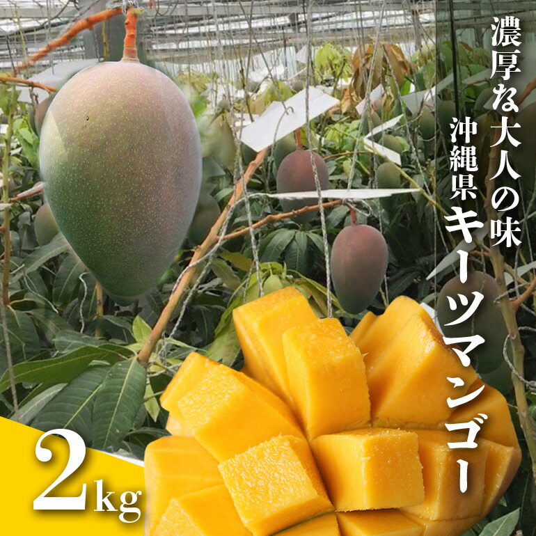 【ふるさと納税】【 先行予約 2025年 発送 】 濃厚な大人の味 沖縄県「 キーツマンゴー 」2kg 沖縄県産 マンゴー 2キロ 緑色 希少 国産 果物 南国 くだもの フルーツ 夏 旬 特産品 沖縄 お取り寄せ 産地直送 農家直送 甘い 濃厚 糸満市 送料無料