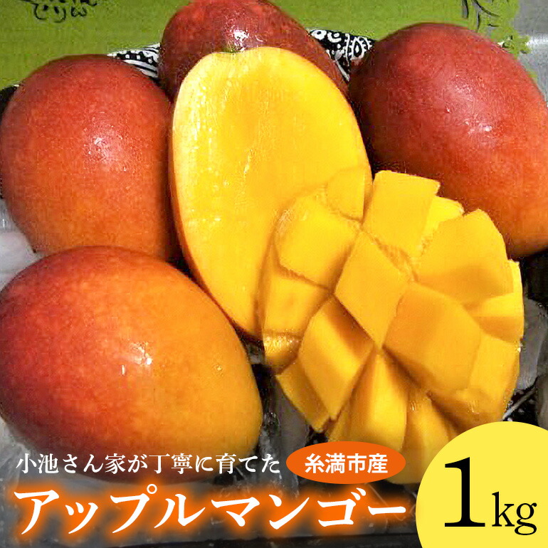 【ふるさと納税】小池さん家が丁寧に育てた アップルマンゴー 1kg 沖縄県産 マンゴー アーウィンマンゴー 1キロ 国産 完熟マンゴー 果物 南国 くだもの フルーツ 完熟 夏 旬 沖縄 お取り寄せ 産地直送 農家直送 甘い 濃厚 糸満市 送料無料