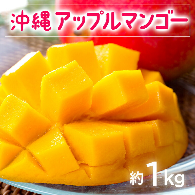 【ふるさと納税】【 先行予約 2025年 発送 】 お手頃 「沖縄 アップルマンゴー 」 1kg 沖縄県産 マンゴー アーウィンマンゴー 1キロ 国産 完熟マンゴー 果物 南国 くだもの フルーツ 完熟 夏 旬 お取り寄せ 産地直送 農家直送 甘い 濃厚 糸満市 送料無料