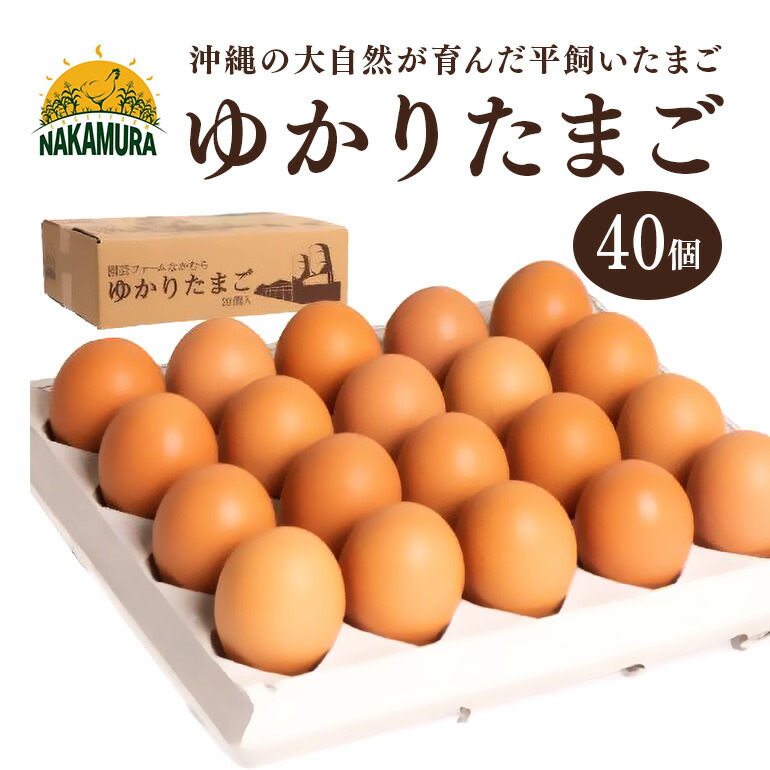 【ふるさと納税】黄身がプリッ!沖縄の大自然が育んだ平飼い卵【ゆかりたまご】 40個 たまご （20個 ×2箱 ）破卵保証の5個を含む MSサイズ 平飼い 卵 タマゴ 産地直送 生卵 鶏卵 濃厚 玉子 卵料理 卵かけごはん TKG エッグ egg 沖縄産 お取り寄せ 沖縄県 糸満市 送料無料