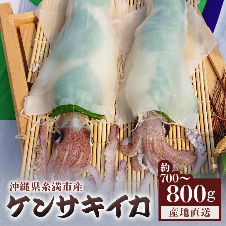 【ふるさと納税】沖縄の漁師まちからお届け!糸満産 ケンサキイカ 700g ～ 800g イカ いか 冷凍 真空パック 水揚げ 急速冷凍 沖縄 産地直送 新鮮 イカ刺身 煮付け 魚介 海鮮 海の幸 刺身 イカフライ 姿焼き いかめし イカ刺 イカ飯 イカ焼き 剣先イカ 沖縄県 糸満市 送料無料