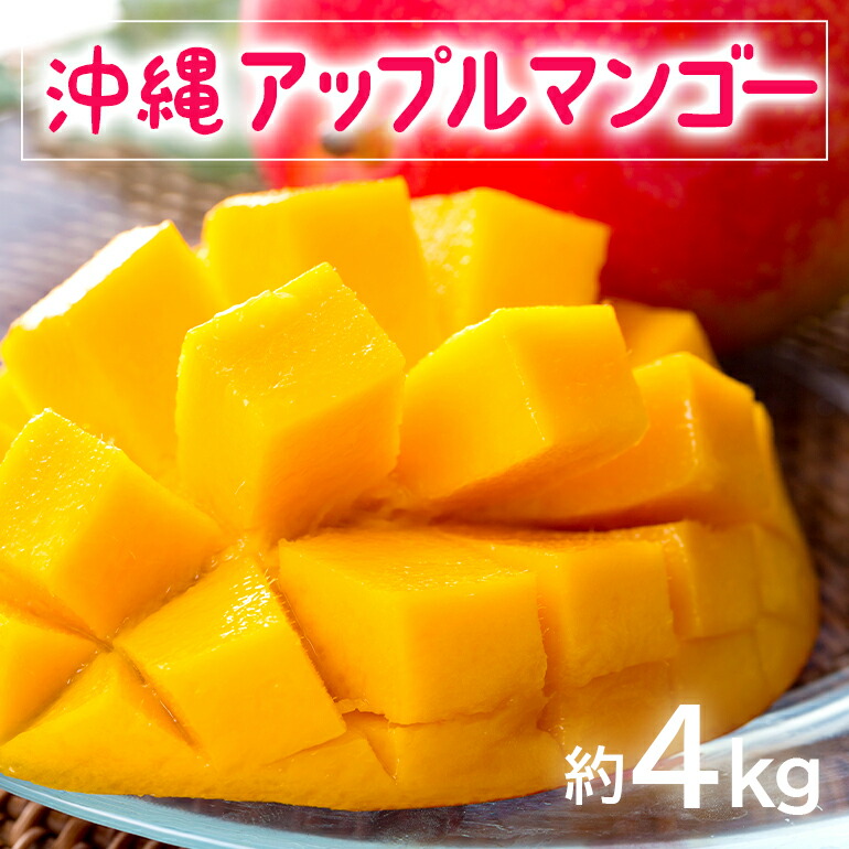 【ふるさと納税】【 先行予約 2025年 発送 】お手頃 「沖縄 アップルマンゴー 」 4kg 沖縄県産 マンゴー アーウィンマンゴー 4キロ 国産 完熟マンゴー 果物 南国 くだもの フルーツ 完熟 夏 旬 お取り寄せ 産地直送 農家直送 甘い 濃厚 糸満市 送料無料