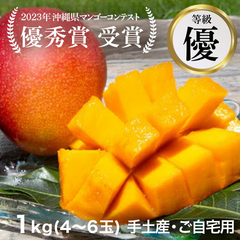 【ふるさと納税】【 先行予約 2025年 発送 】コーラルファーム アップルマンゴー 1kg (2～3玉) 優品 沖縄県産 マンゴー アーウィンマンゴー 1キロ 国産 完熟マンゴー 果物 くだもの フルーツ 完熟 夏 沖縄 お取り寄せ ギフト 産地直送 農家直送 糸満市 送料無料