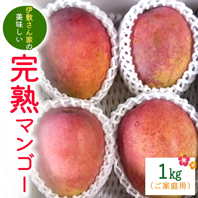 【ふるさと納税】【 先行予約 2025年 発送 】 伊敷さん家の美味しい 完熟マンゴー 1kg ( ご家庭用 ) 沖縄県産 マンゴー アップルマンゴー アーウィンマンゴー 1キロ 国産 果物 くだもの フルーツ 完熟 夏 旬 沖縄 お取り寄せ 産地直送 農家直送 甘い 濃厚 糸満市 送料無料