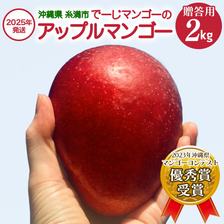 【ふるさと納税】【 先行予約 2025年 発送 】 令和5年度優秀賞受賞 でーじマンゴーの アップルマンゴー 2kg ( 贈答用 ) マンゴー アップルマンゴー アーウィンマンゴー 2キロ フルーツ 果物 ギフト 沖縄県産 国産 完熟マンゴー くだもの 産地直送 農家直送 糸満市 送料無料