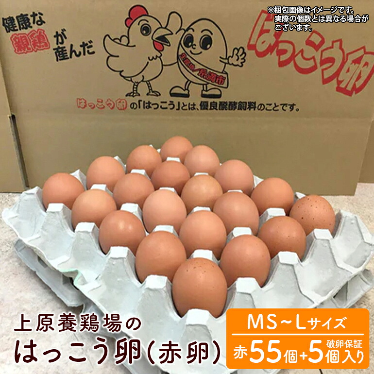 【ふるさと納税】はっこう卵 ( 赤卵 ) MS~L サイズ 55個 +破卵保障5個 サイズ おまかせ 卵 たまご タマゴ 鶏卵 優良醗酵飼料 平飼い ゲージ おいしい 生卵 味卵 煮卵 目玉焼き ゆで卵 キッシュ 朝食 定番 上原養鶏場 沖縄 産地直送 沖縄県 糸満市 送料無料 7,000円