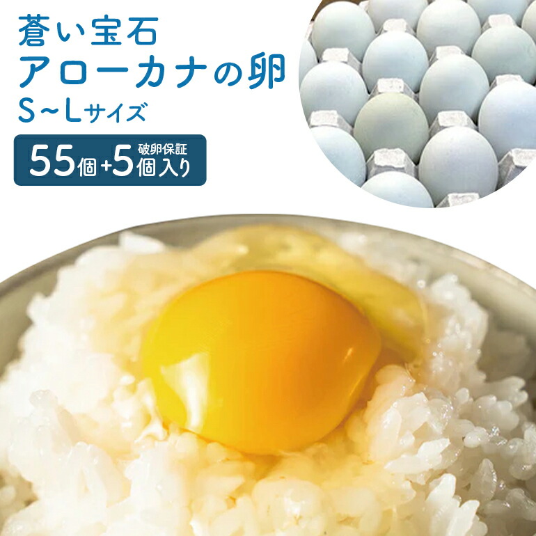 【ふるさと納税】はっこう卵 アローカナ S~L サイズ 55個 +破卵保障5個 卵 サイズ おまかせ 青卵 鶏卵 たまご タマゴ 優良醗酵飼料 おいしい 生卵 味卵 煮卵 目玉焼き ゆで卵 キッシュ 朝食 沖縄 産地直送 上原養鶏場 沖縄県 糸満市 送料無料